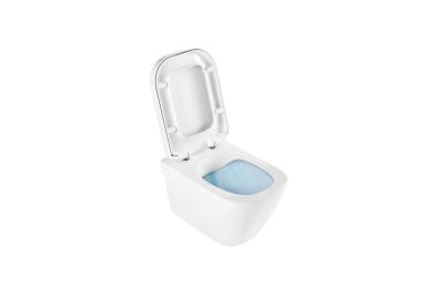 Look Pack wall hung toilet with Rimflush and toilet seat