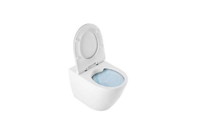 Sanlife HO low level toilet with Rimflush