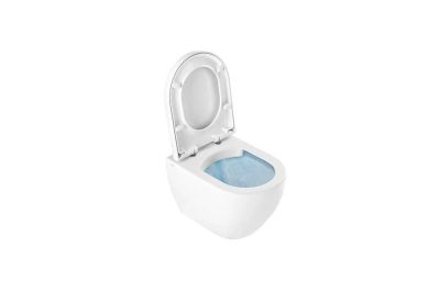 Sanibold wall hung toilet with Rimflush, support frame and toilet seat