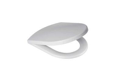 Newday toilet seat with slowclose system
