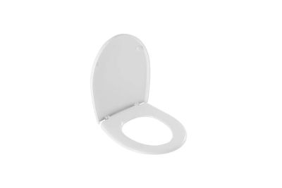 Easy thermoplast toilet seat with nylon hinges