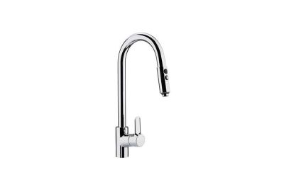 Torus kitchen mixer with EcoSpot and pull-out spray