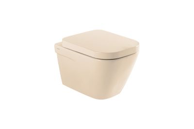 Look wall hung toilet with hidden fixings and Rimflush